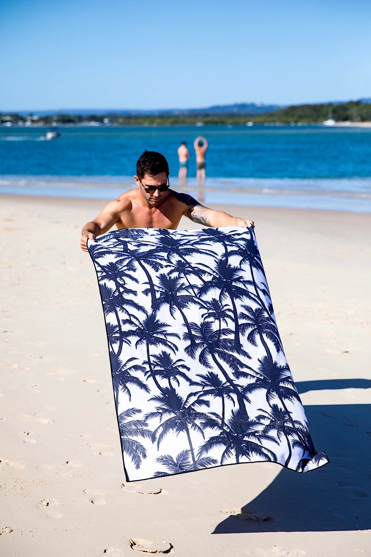 XL Beached Palm Trees